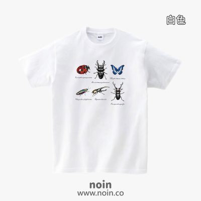 noin168_w_01