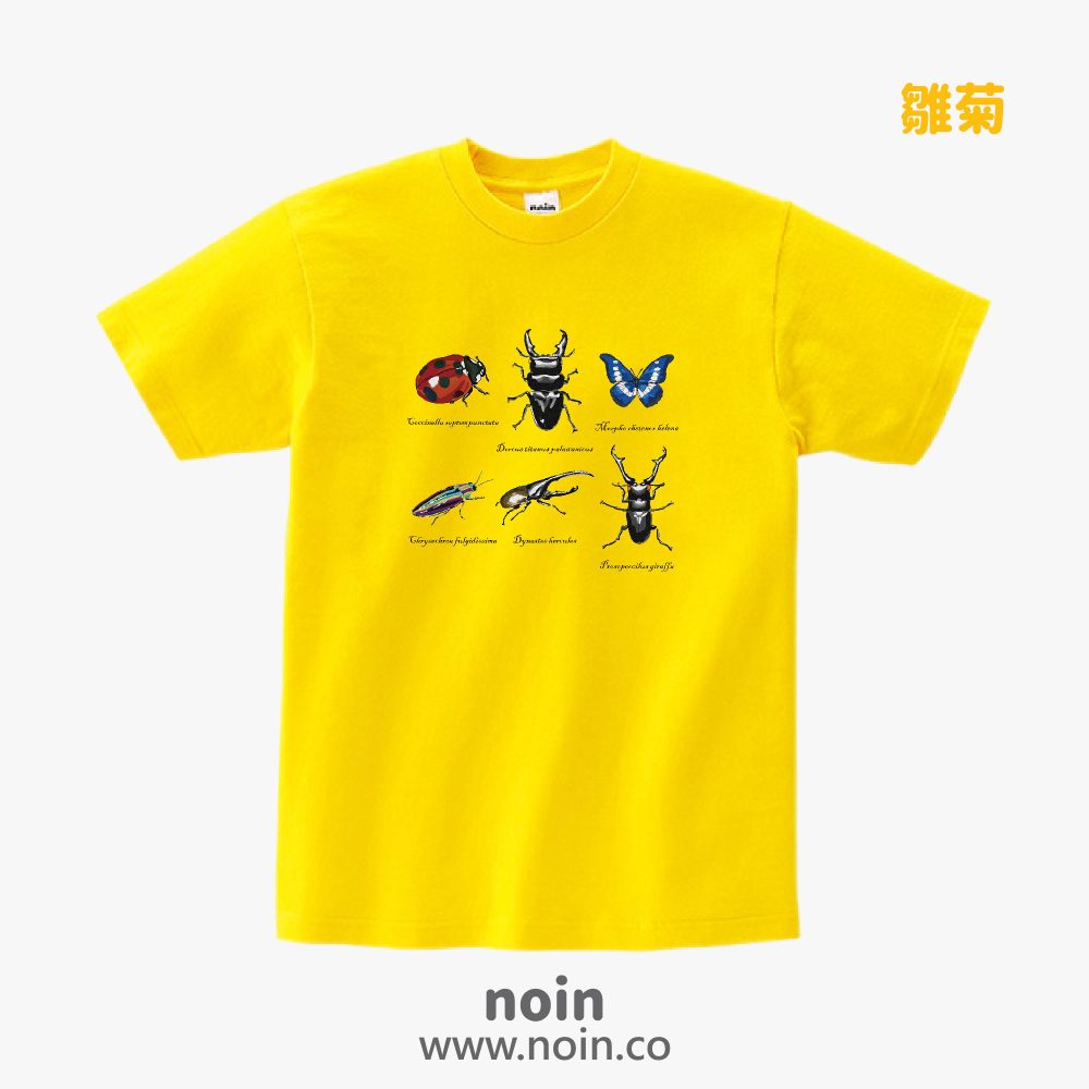 noin
