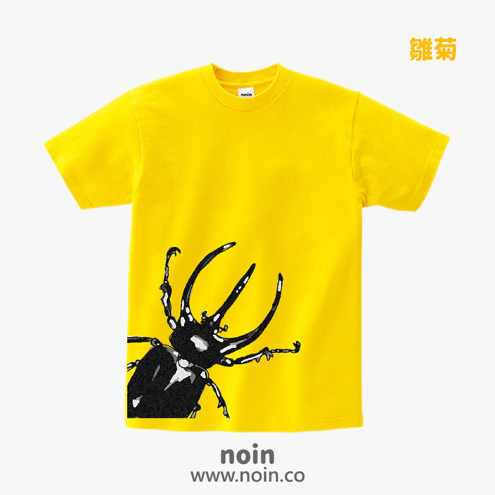 noin
