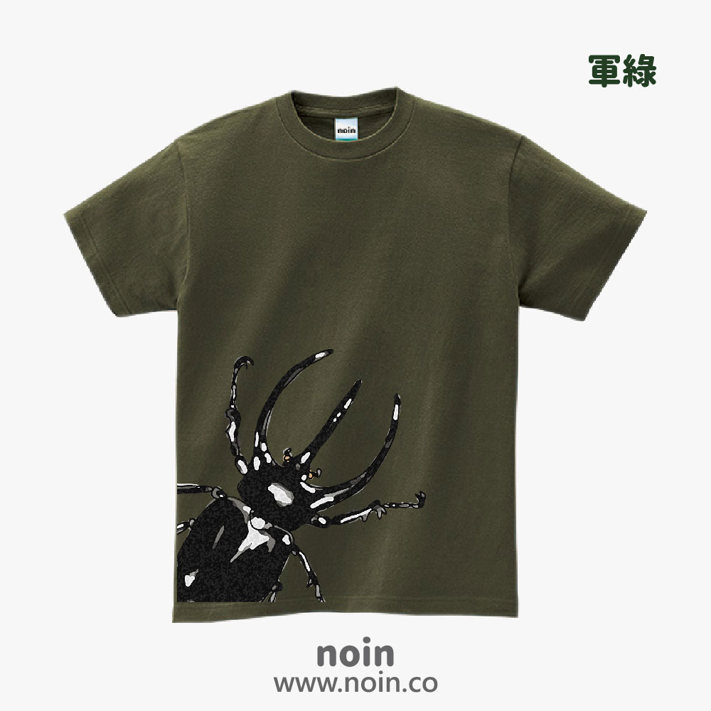 noin