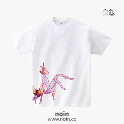 noin282_w_16