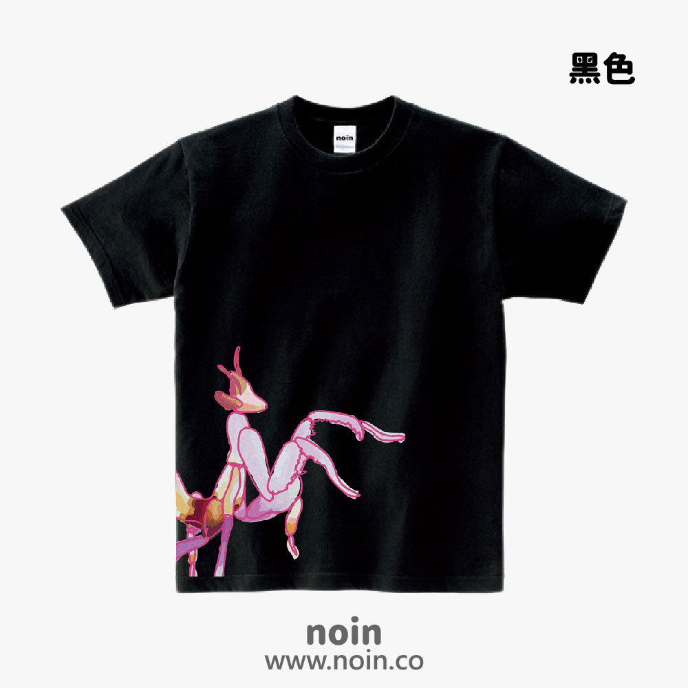 noin