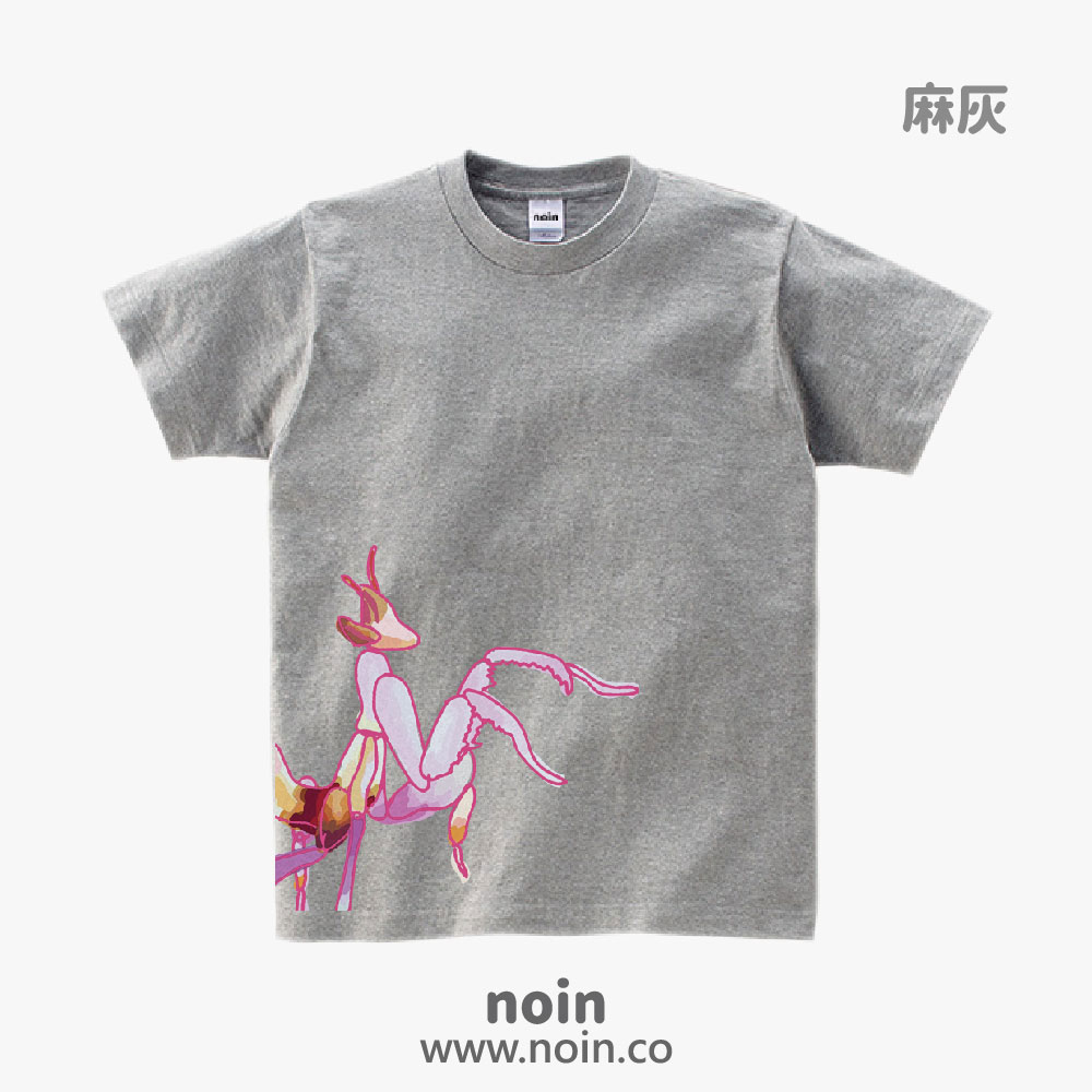 noin