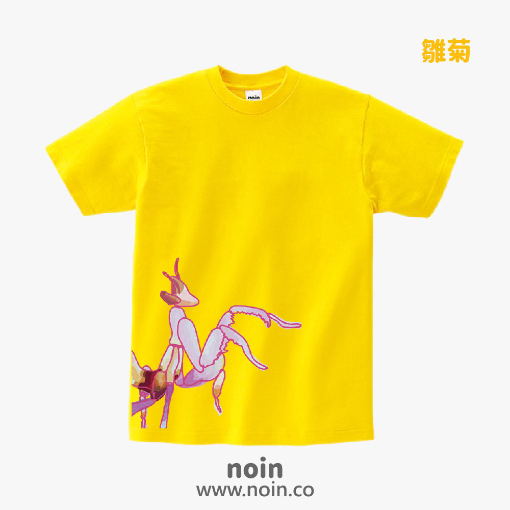 noin