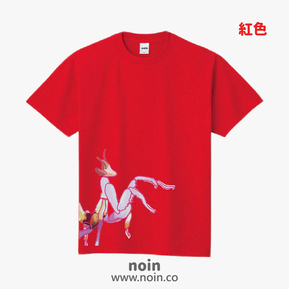 noin