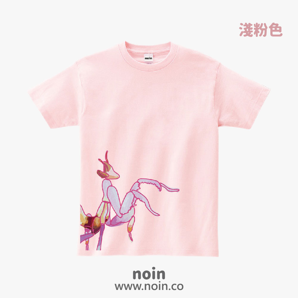 noin