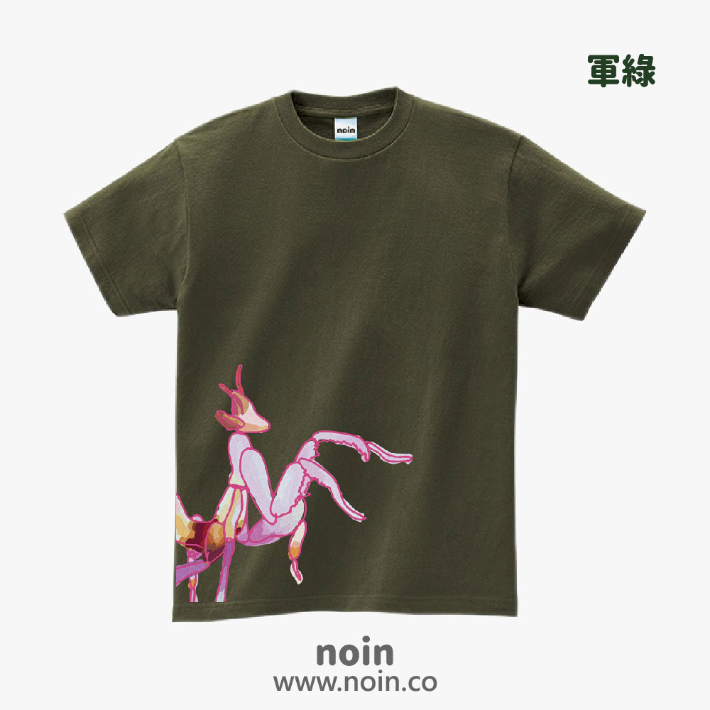 noin