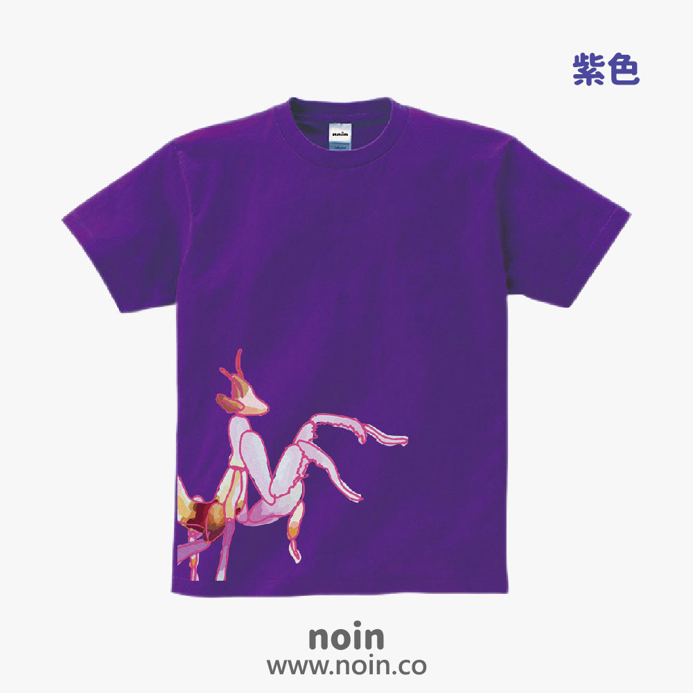 noin