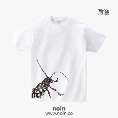 noin284_w_16