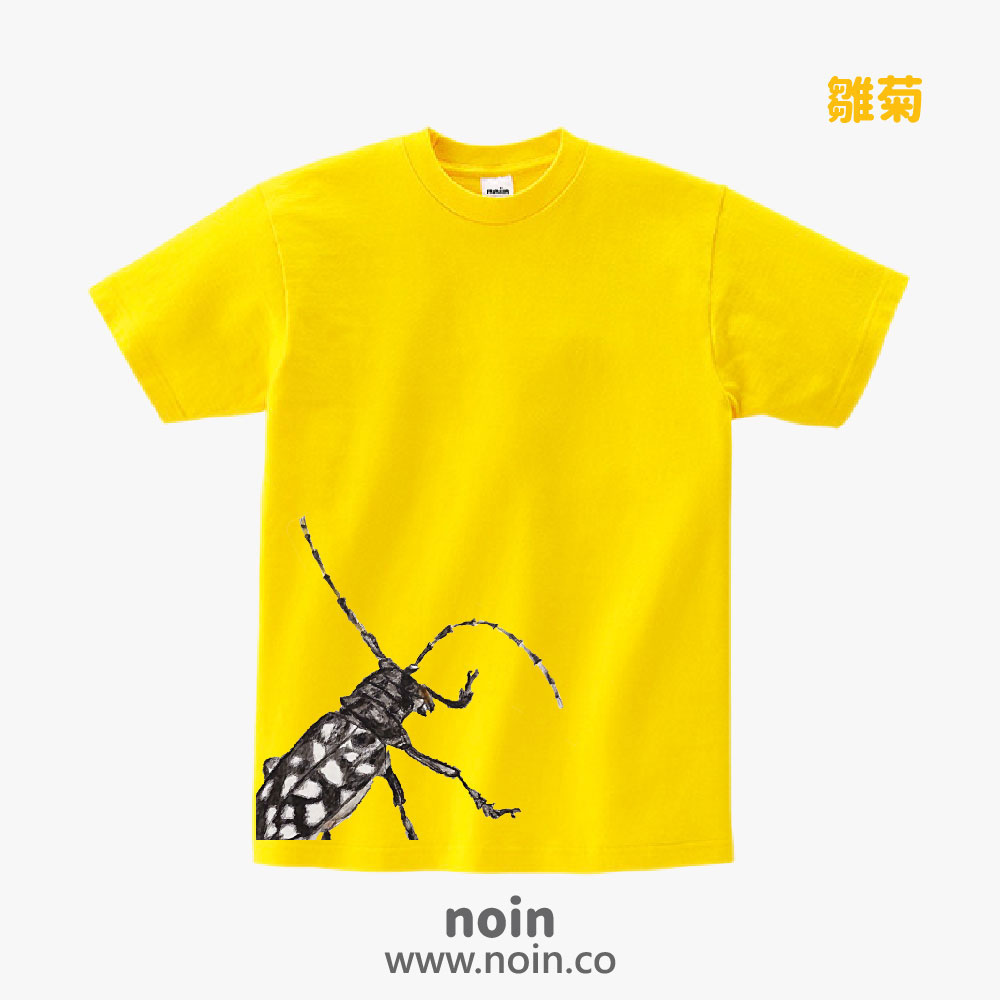 noin