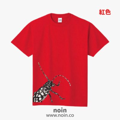 noin
