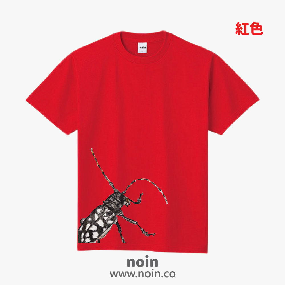 noin