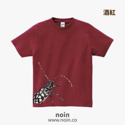 noin