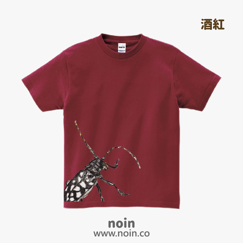 noin