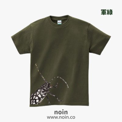 noin