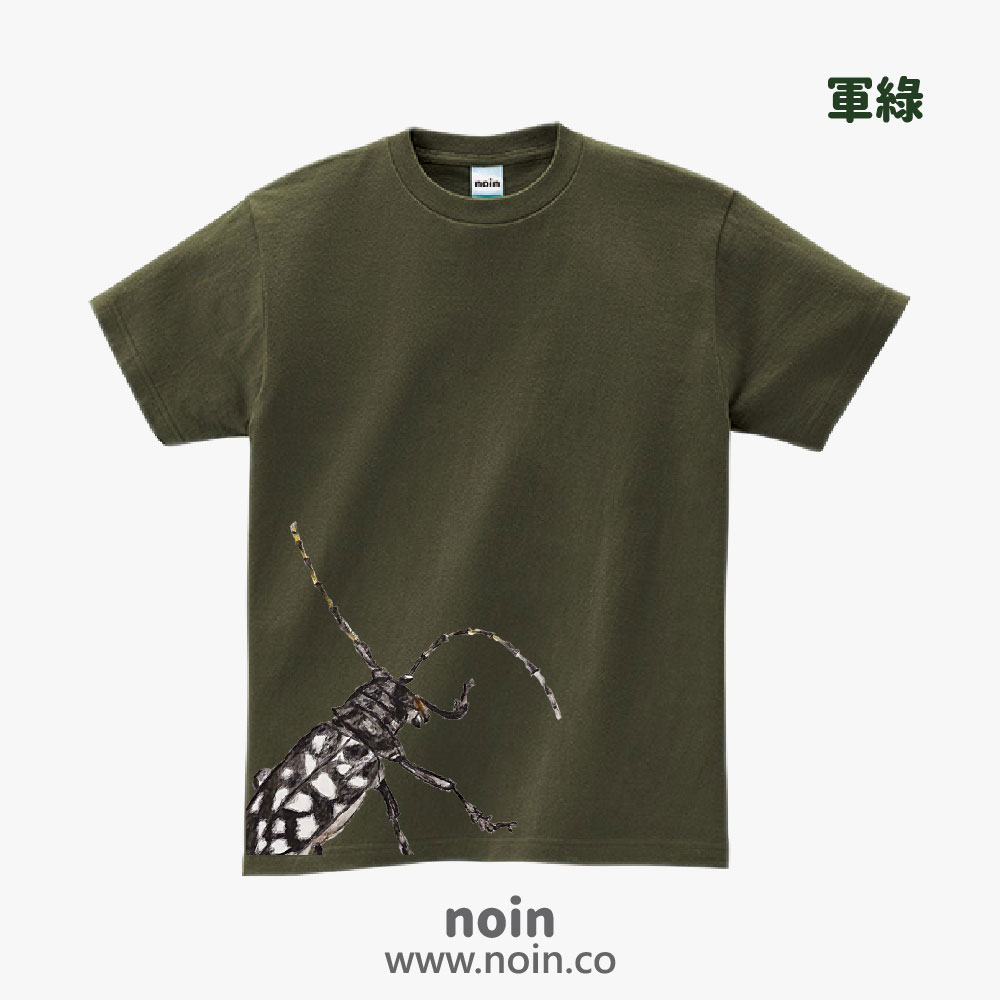 noin