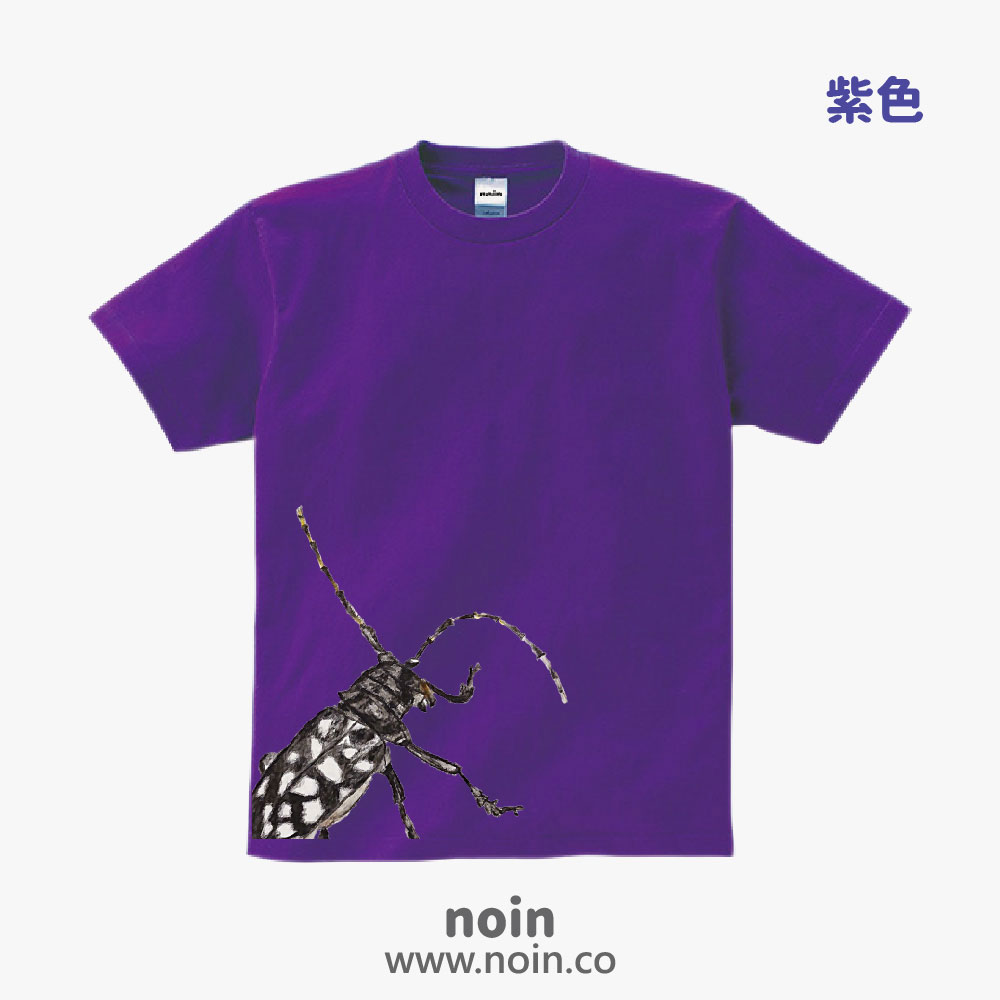 noin