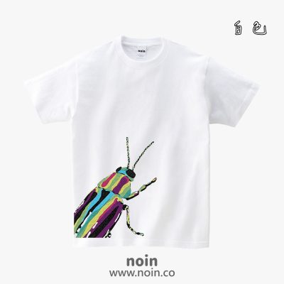 noin127_2024_w_01