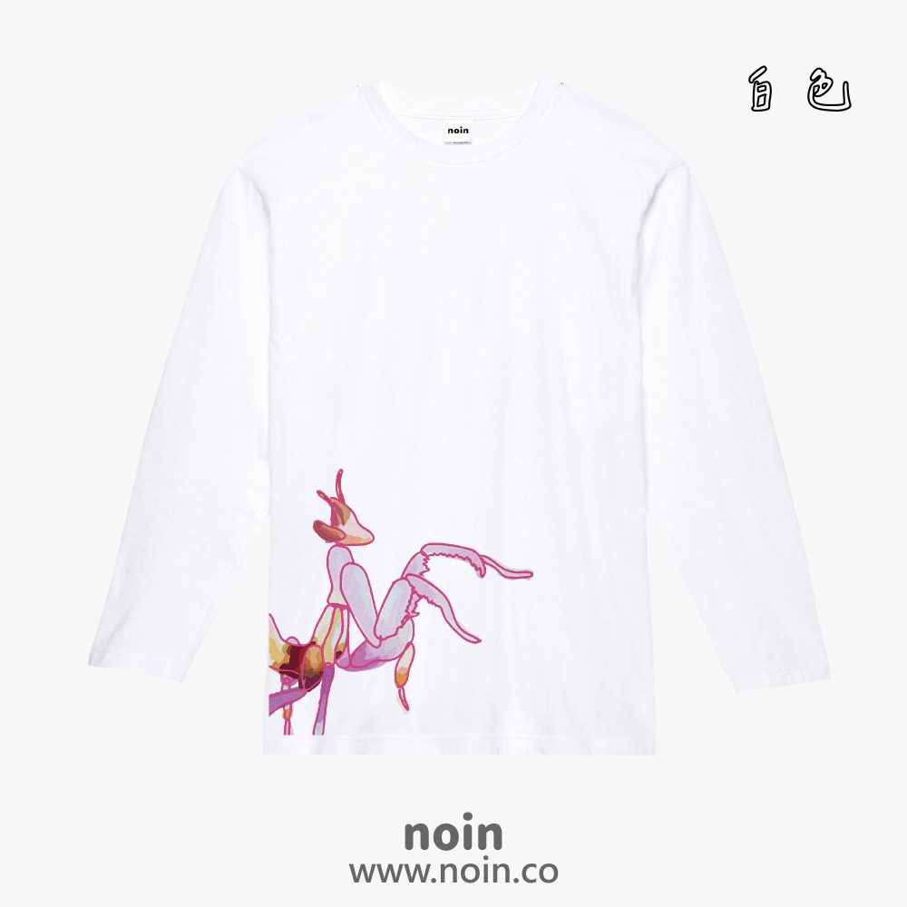 noin