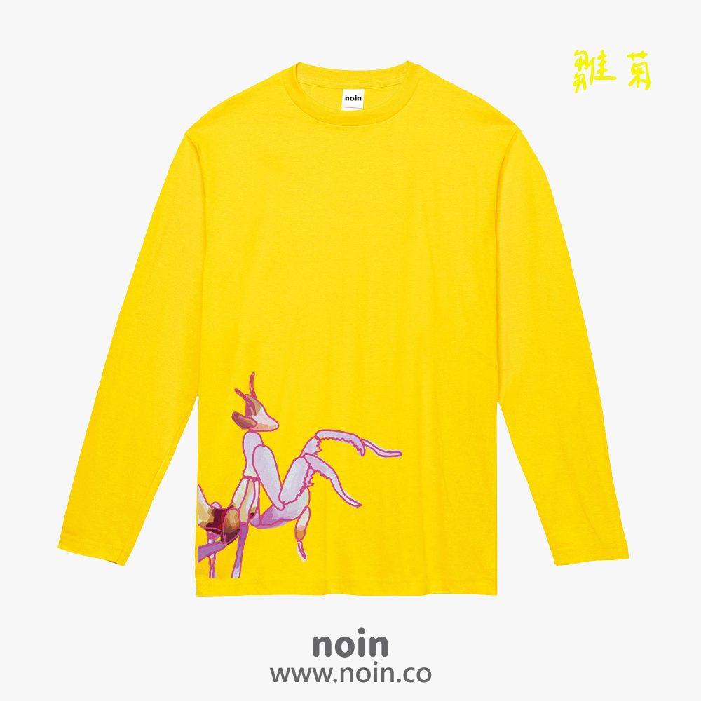 noin