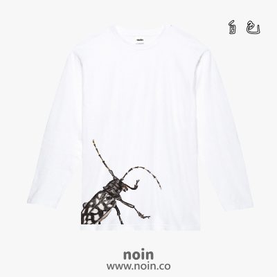 noin