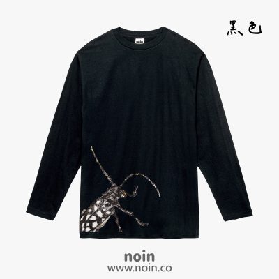 noin