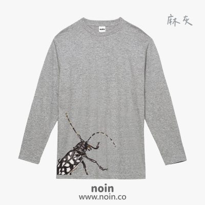 noin