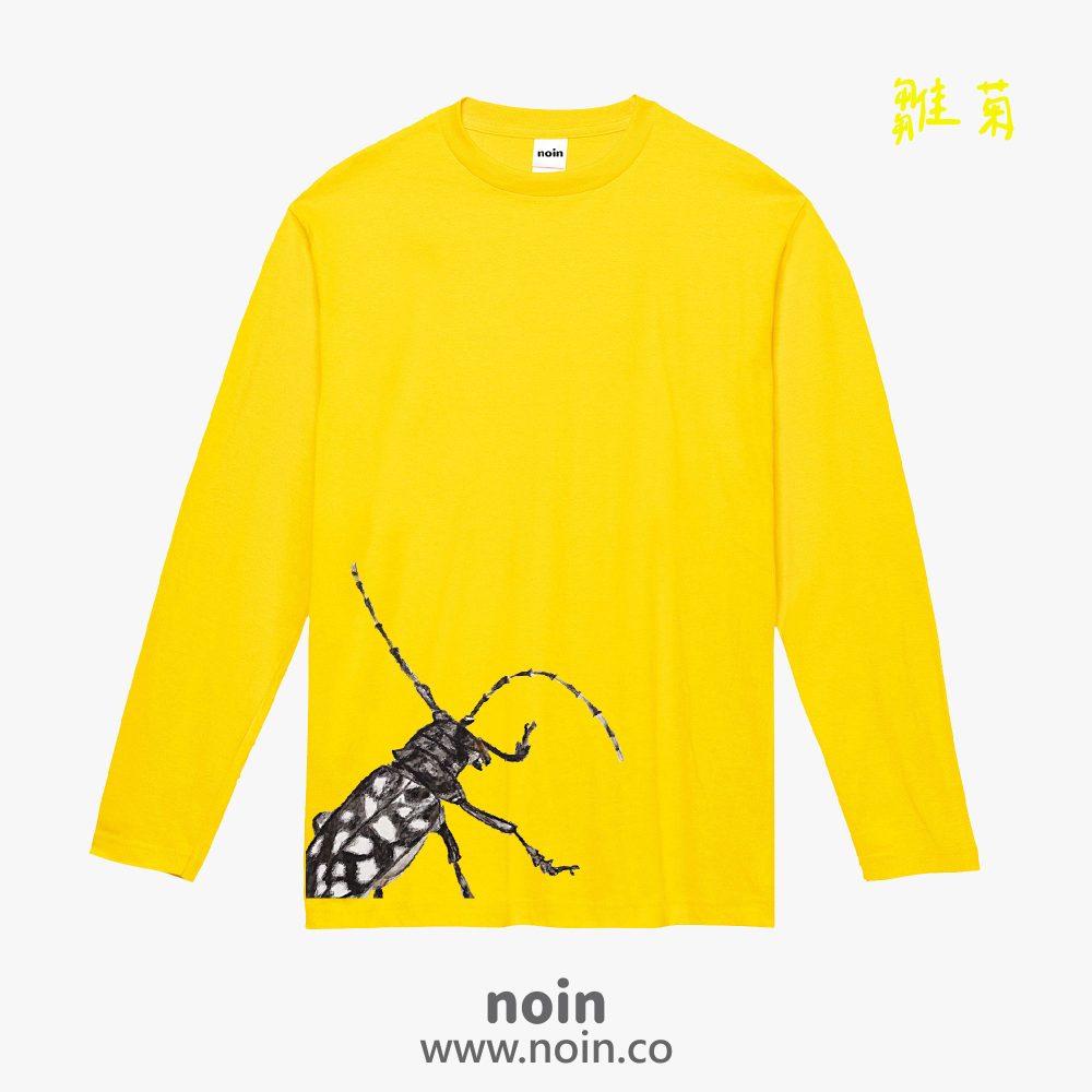 noin
