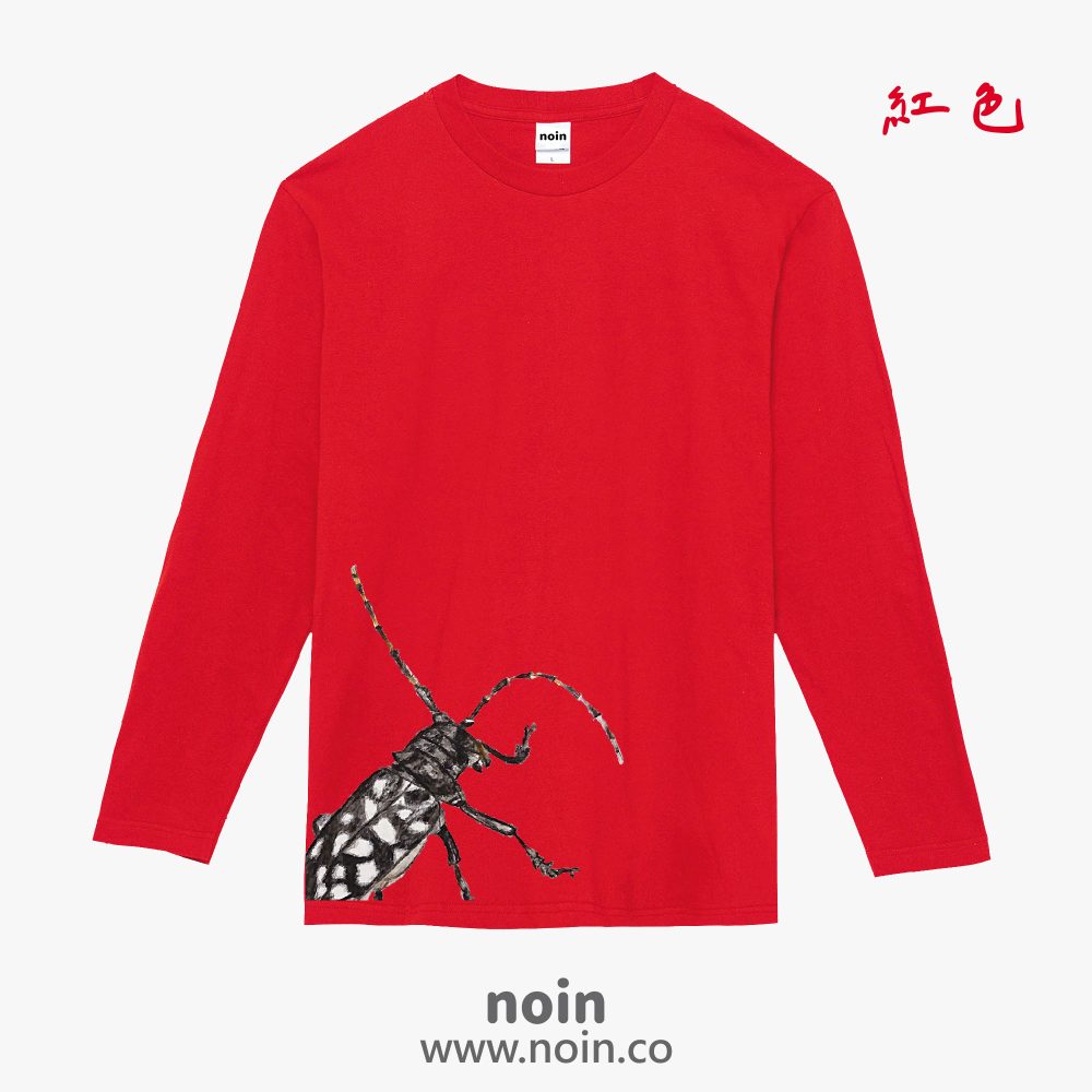 noin