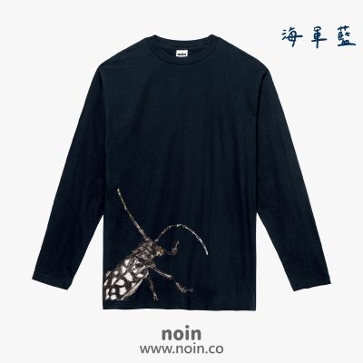 noin
