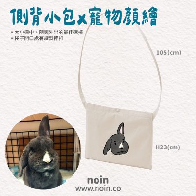 noin