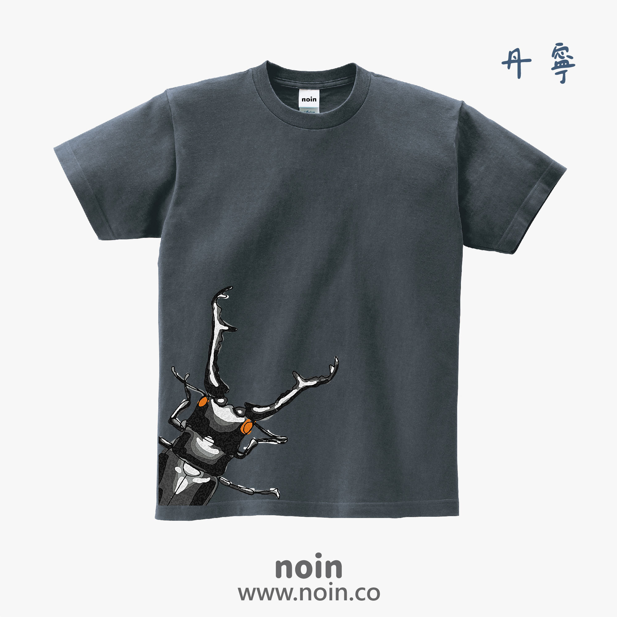 noin