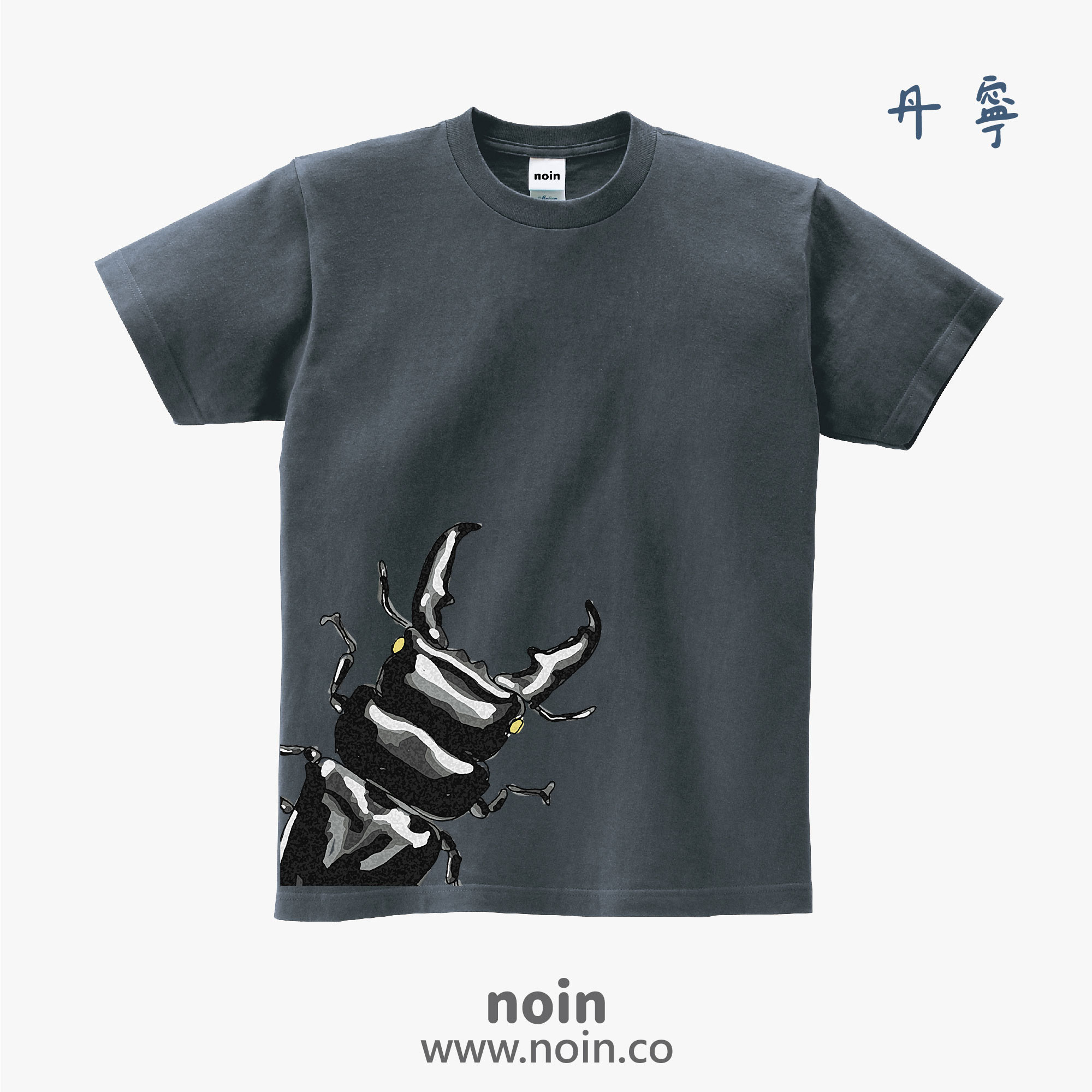 noin