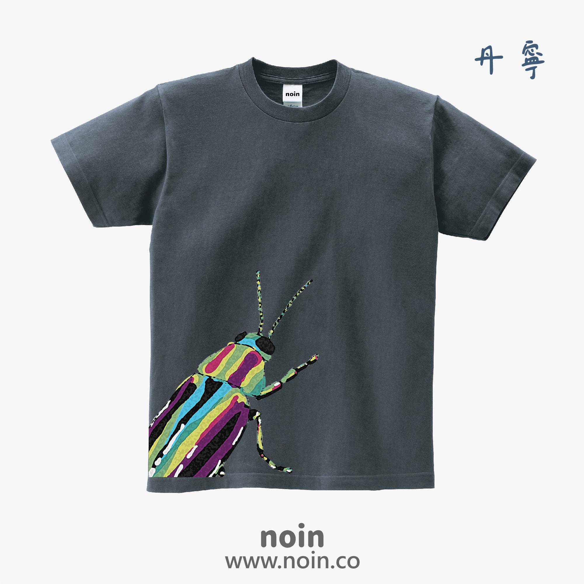 noin