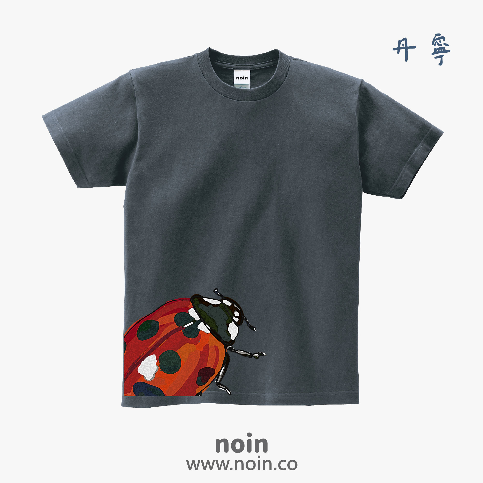 noin
