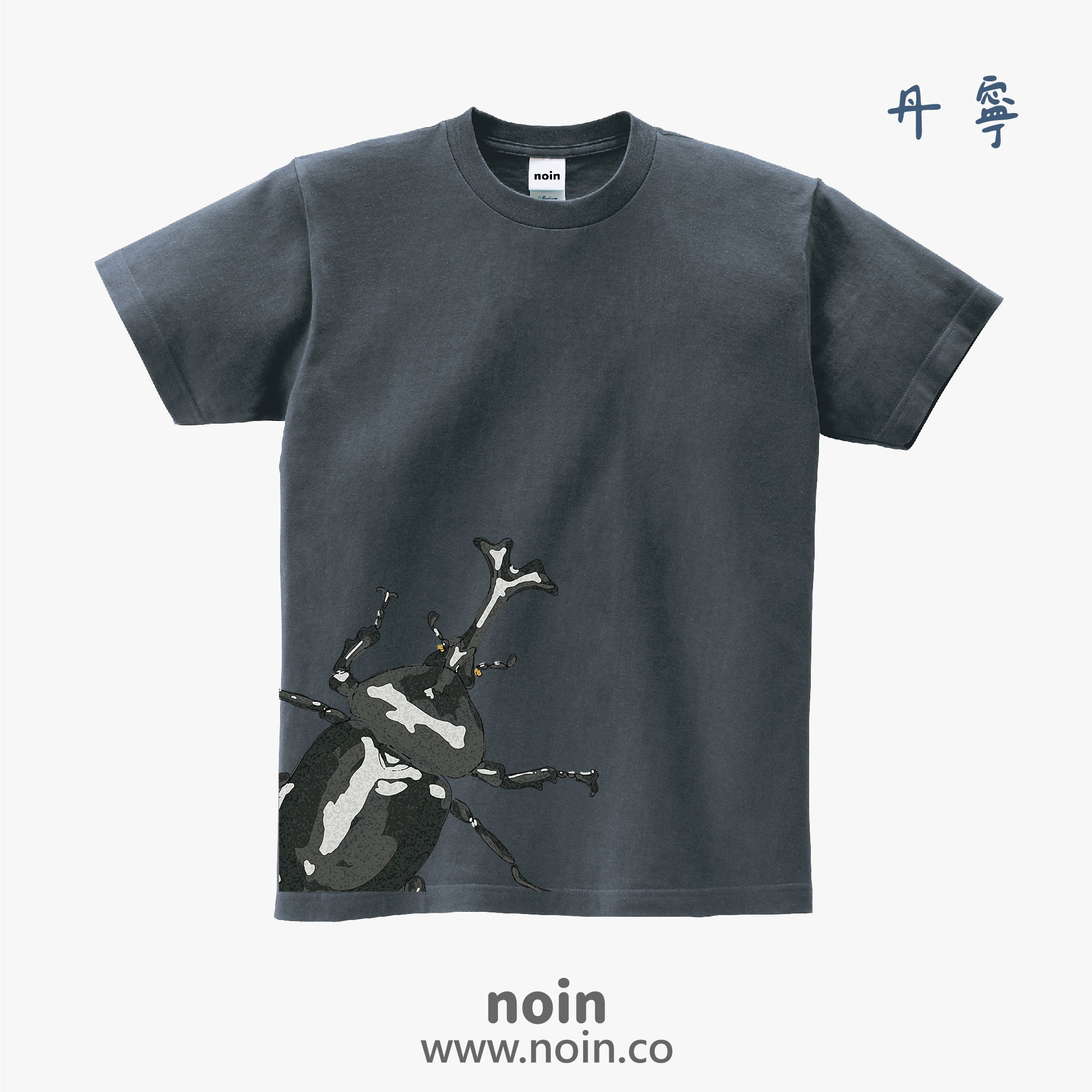 noin
