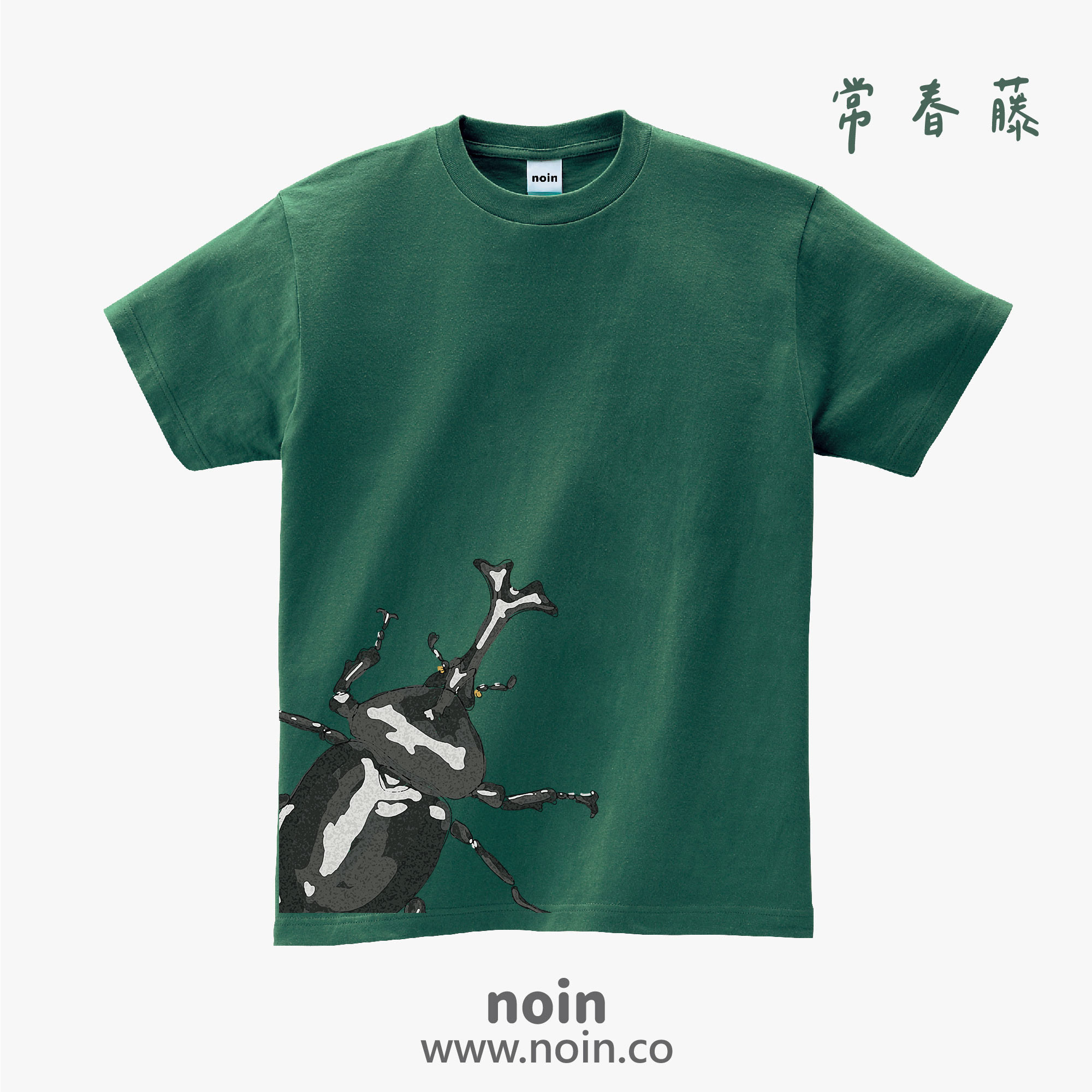 noin