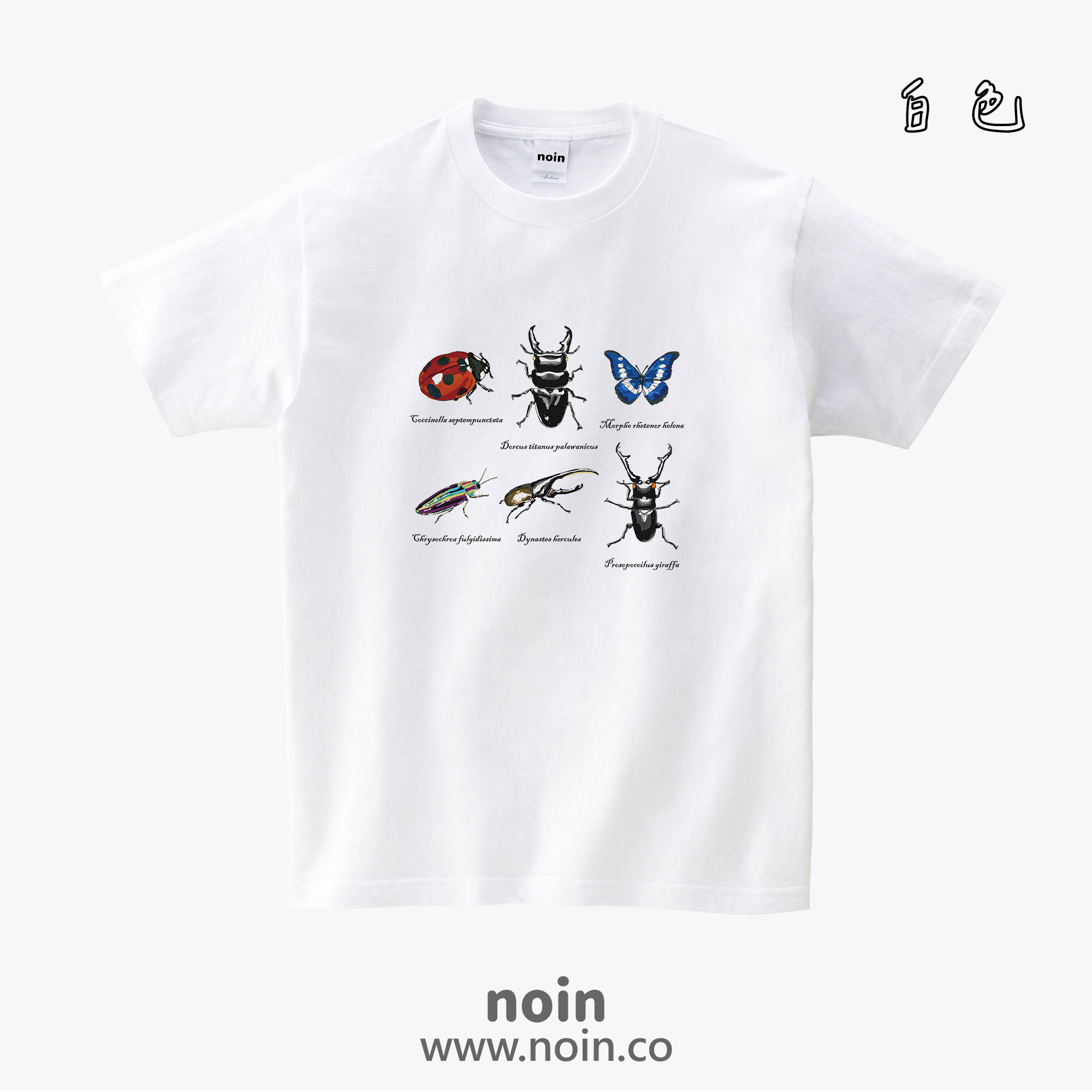 noin