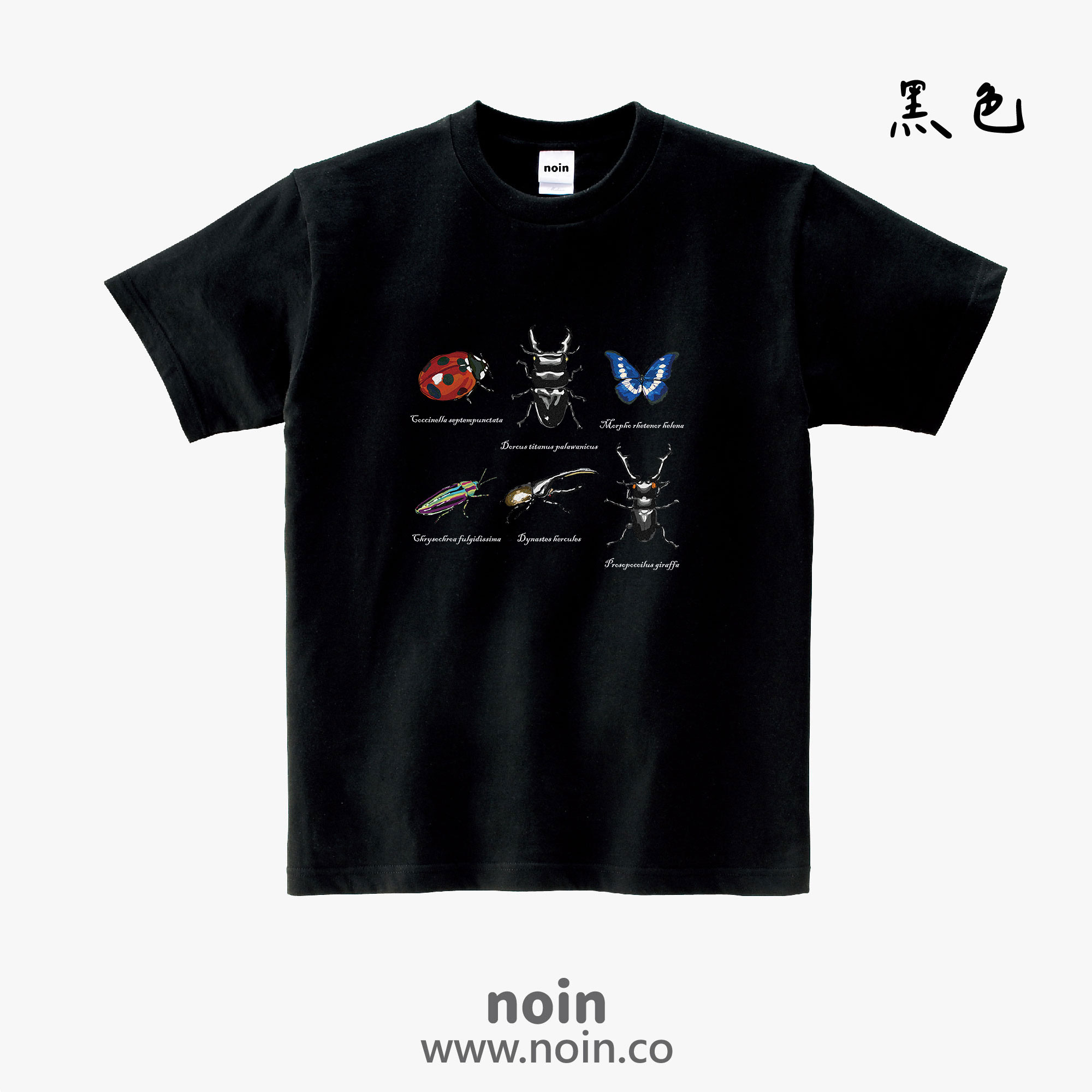 noin