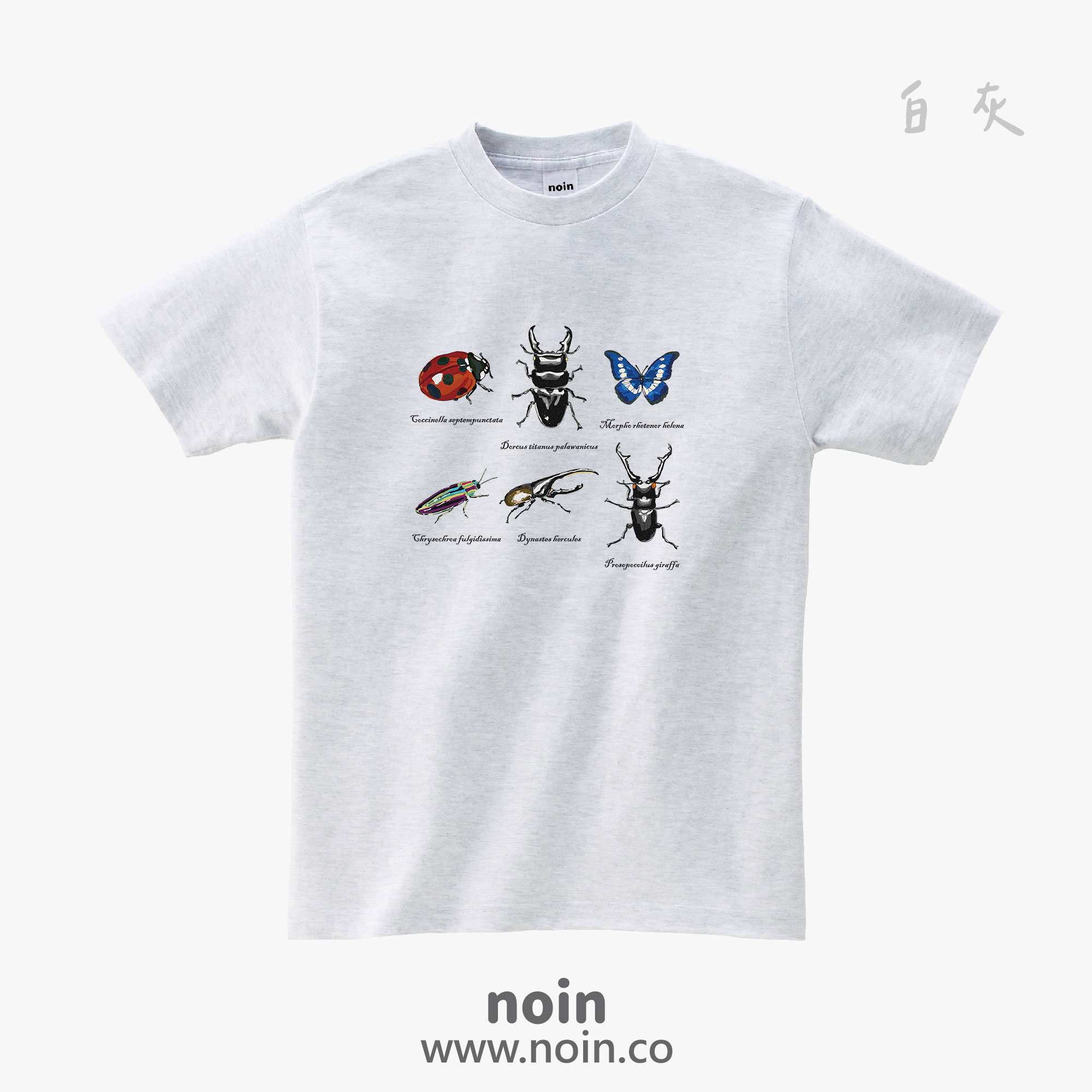 noin