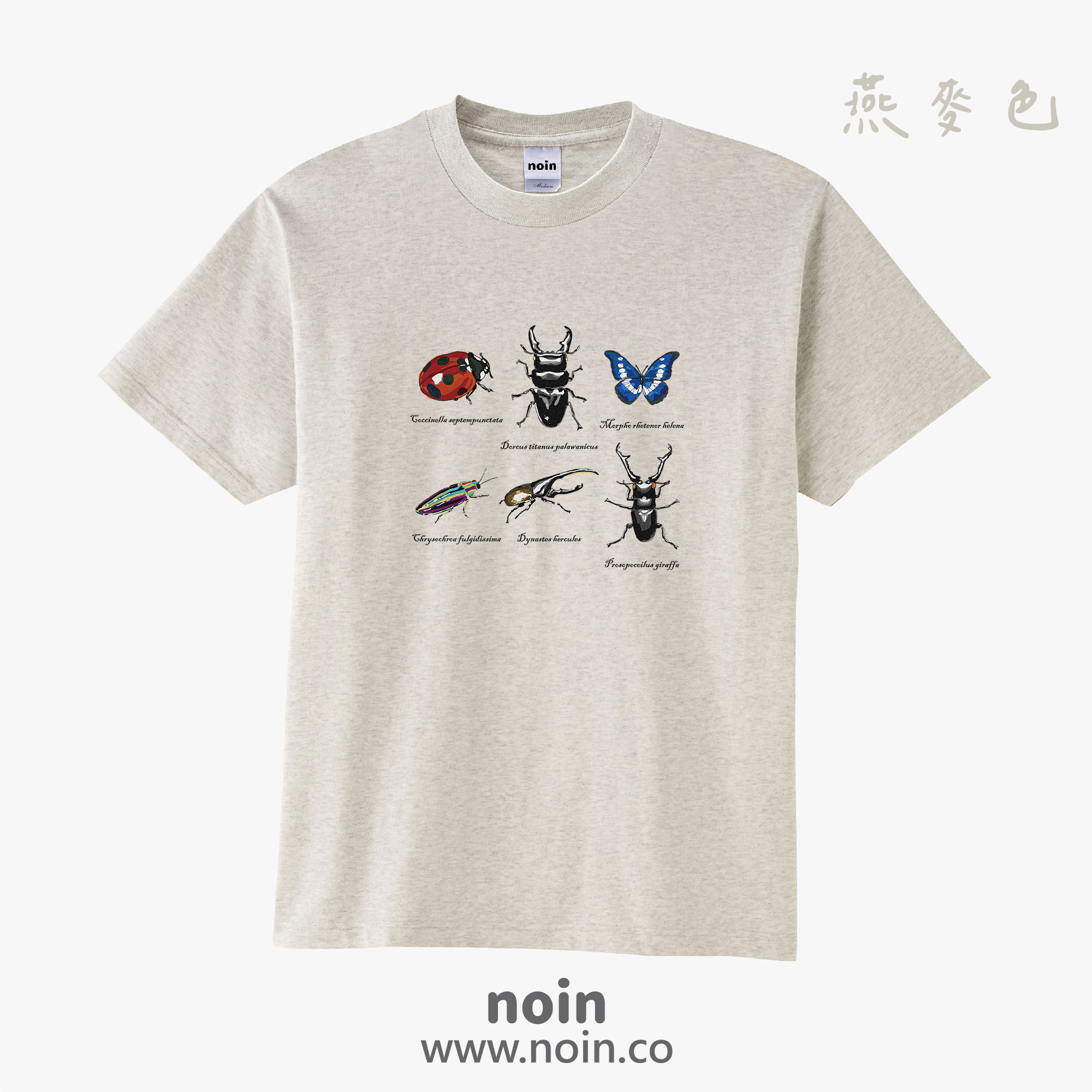 noin