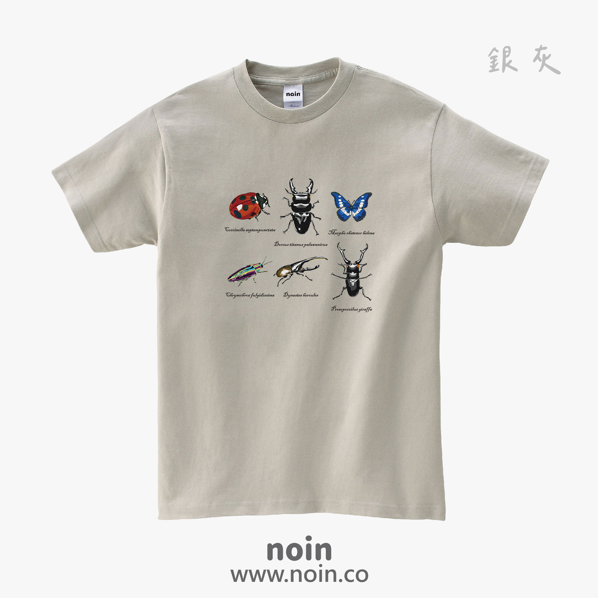 noin