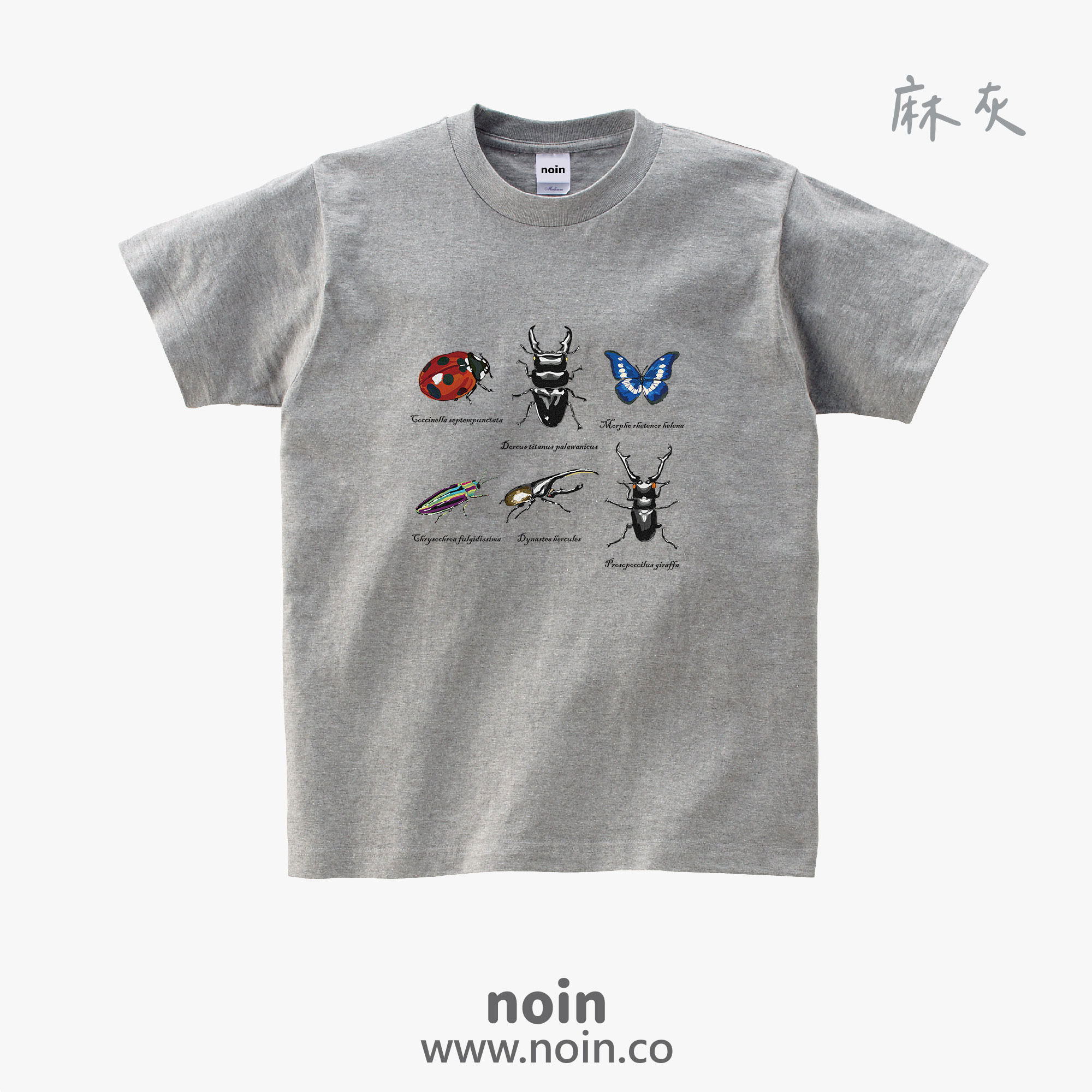 noin