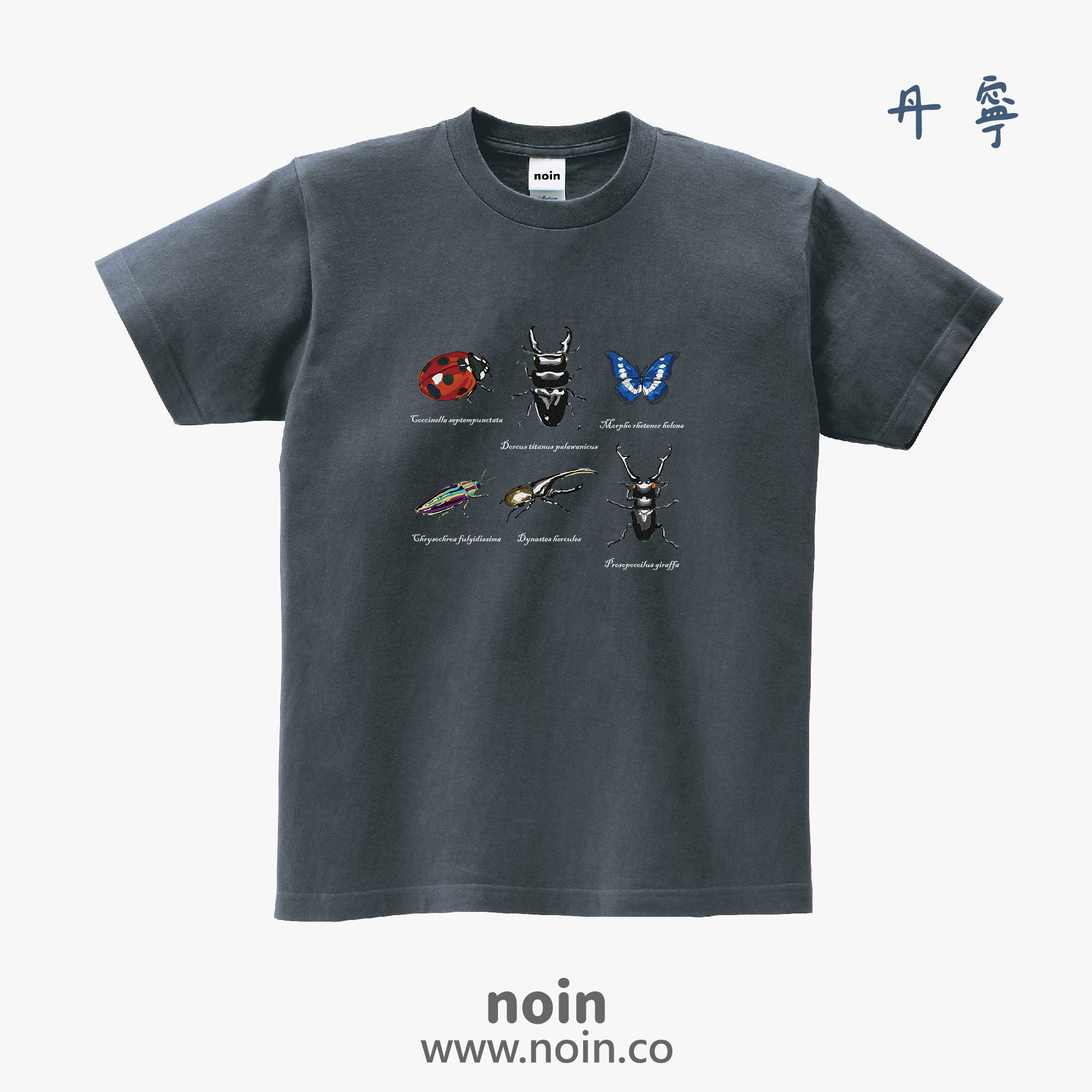 noin
