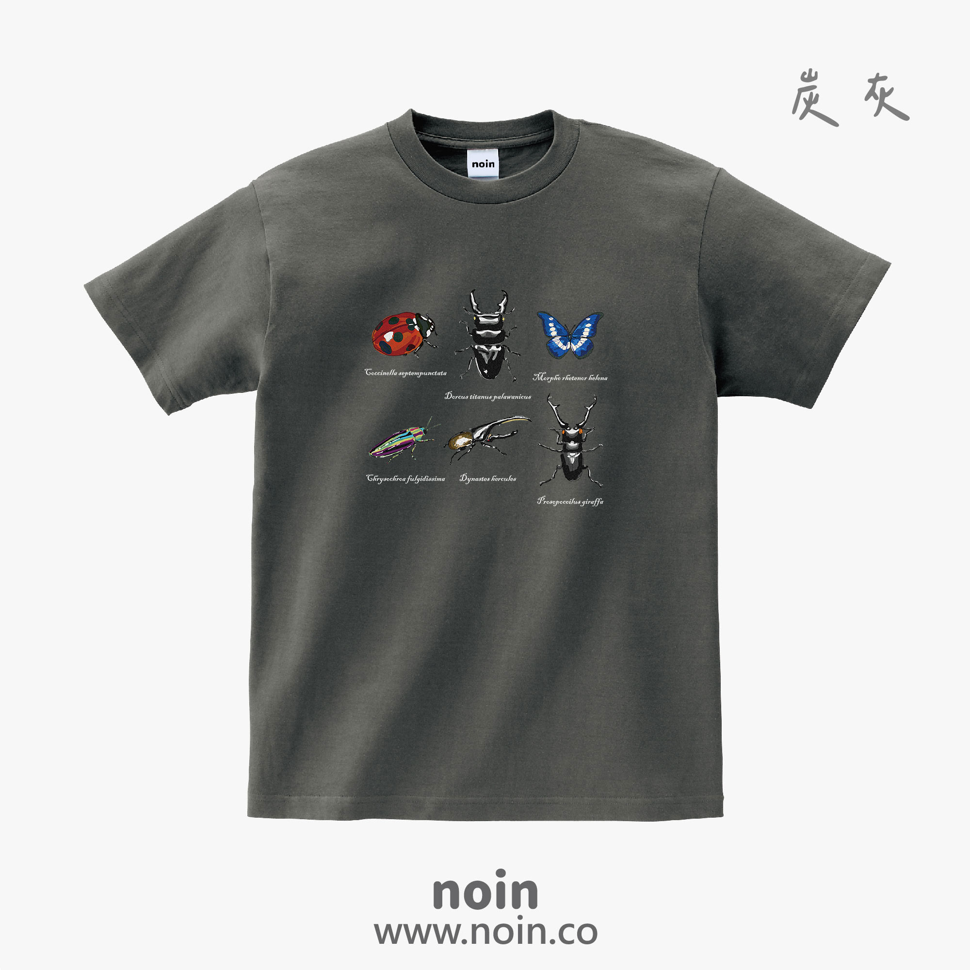 noin
