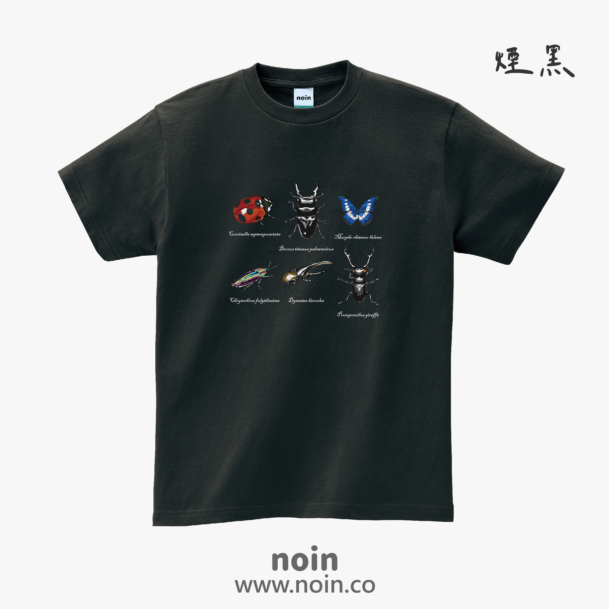 noin