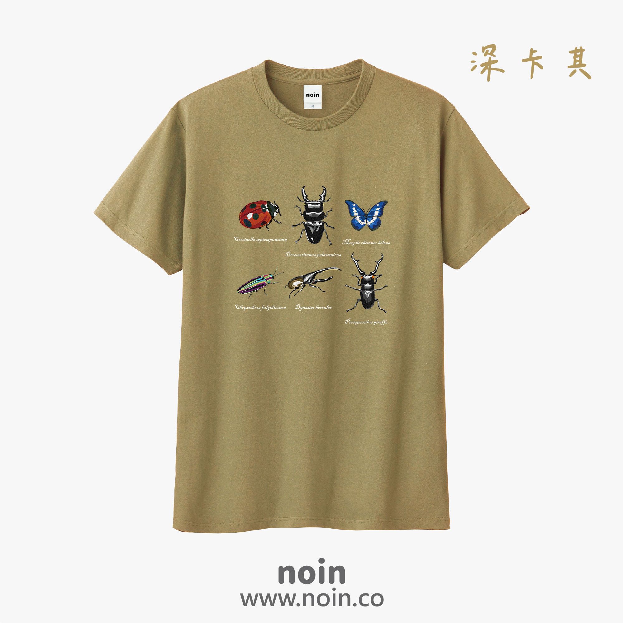 noin