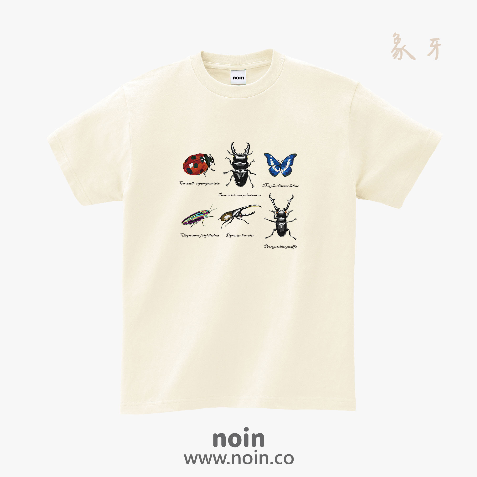 noin
