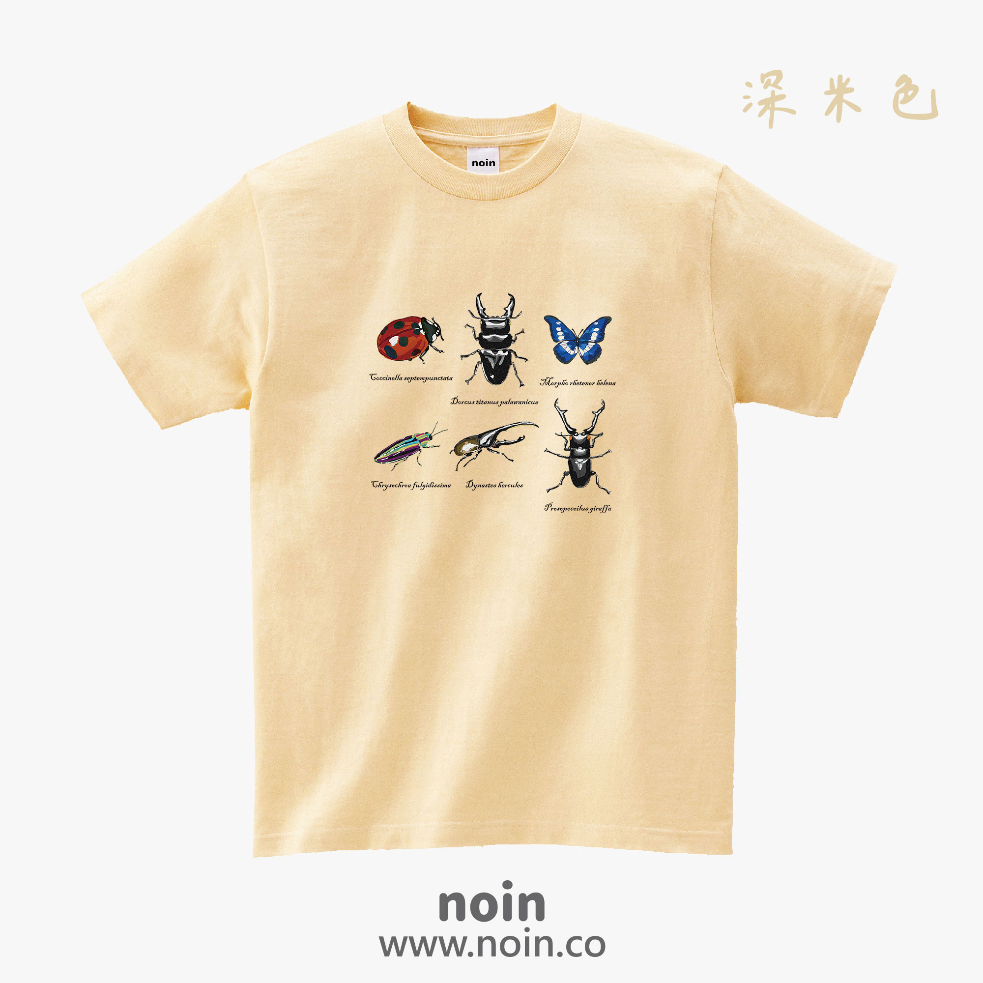 noin