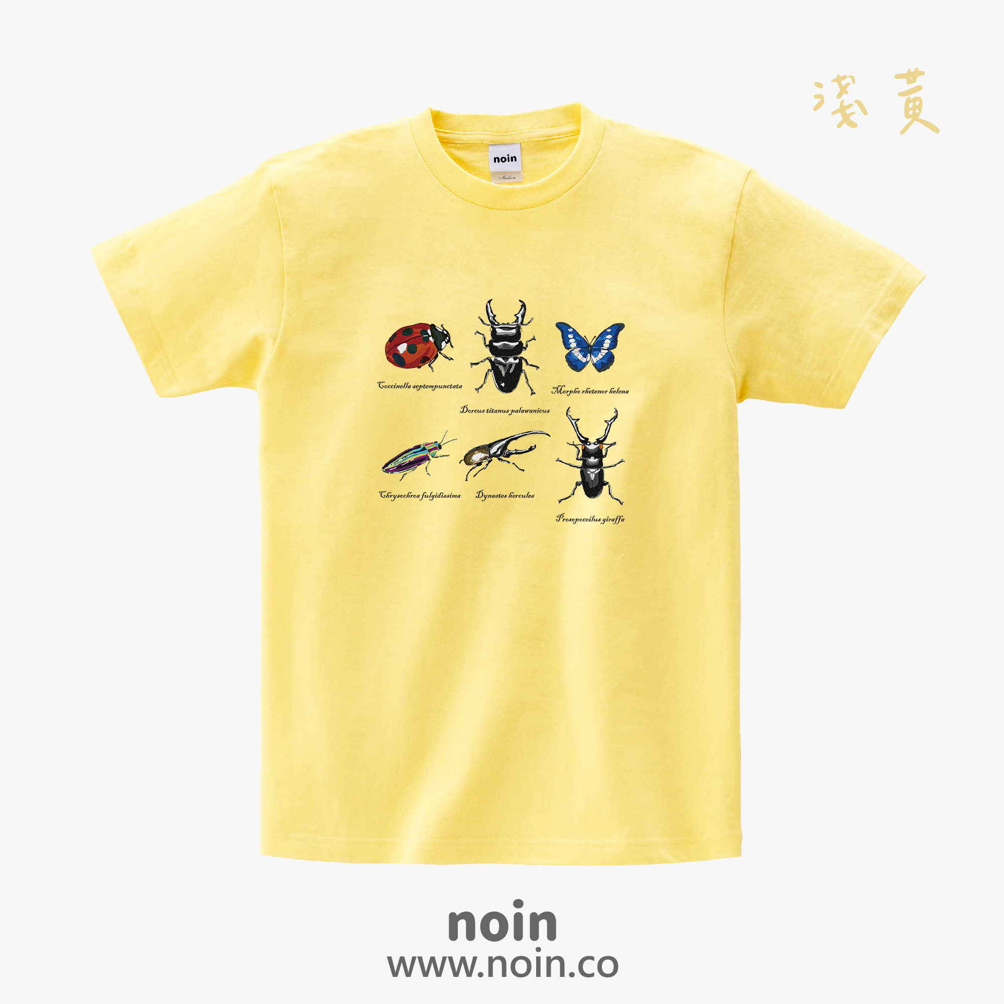 noin